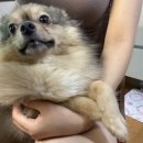 7월7일치과의원 이미지