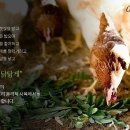 평사농장 이미지