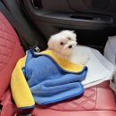 계곡1번지 | [진안] 3박4일 가족 캠핑여행♥ / 운주계곡 1번지