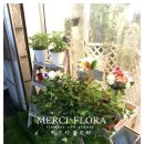 메르시플로라(Merci Flora)