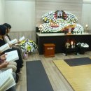 비비안나 이미지