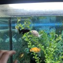 현아네 농장 이미지