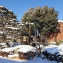 홍어한마리 이미지