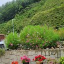 두문동터널 앞 이미지