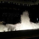 홍콩 간 여우 이미지