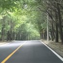 계정횟집 이미지