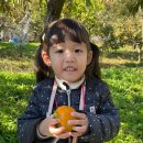 비룡농장 이미지