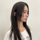슬릭시