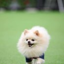 카페브루하하