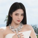 도도아이덴티티 이미지