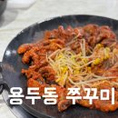 용두동 쭈꾸미 | 구미 신평동 맛있게 매운 용두동쭈꾸미 점심특선 후기
