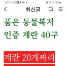 여성 88싸이즈 바지 이미지