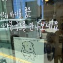 소소유희 | [강릉 소품샵] 강릉 여행 안목해변 근처 색다른 소품샵 유리알유희 내돈내산 방문후기