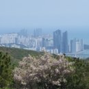 마중행정사 사무소 이미지