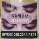 홀리&뷰티 | 학익동속눈썹 잘하는 곳 홀리뷰티 속눈썹 연장 후기