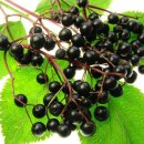 튼튼농장 이미지