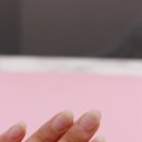 엔79Nail