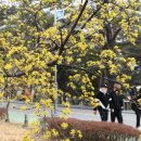 핀캠퍼스