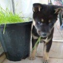 달곰이네 이미지