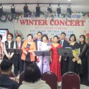 라이프독 이미지