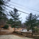 초원 숲속 야영장 | 곤지암 야영장 캠핑 후기｜숲속 자연휴양림 느낌 + 조식 제공 캠핑장