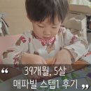 1 | 39개월 매파빌 스텝1 후기 | 엄마표 수학 시작해도 될까? 솔직 후기 (내돈내산)