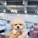 광교참좋은병원 이미지
