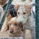 마리농장 이미지