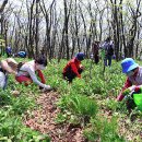 기동반-6 이미지