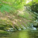 사가록캠핑장 이미지