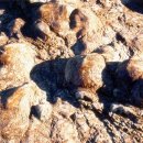 진주 유수리 백악기 화석산지 이미지