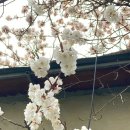 매향주유소 이미지