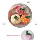 크캣레이디 고양이 캣닢쿠션 <b>미니</b><b>뽕</b>베리 내돈내산 후기