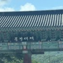 하초동 | 문경새재 맛집 추천 | 밥 한 공기 순삭 한 약돌돼지고추장구이 맛집 하초동