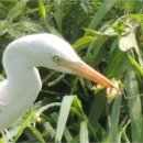 파주착한펜션 이미지