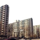 강남시장(1) 이미지