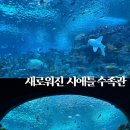 디인터 | 시애틀 필수코스 아쿠아리움 신관 오션 파빌리온 후기