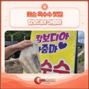 화순이네 | 화순 캄보디아아줌마 옥수수 방문 후기(화순 먹거리)