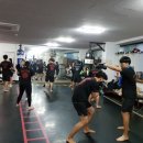 레드짐 복싱클럽 이미지