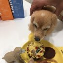 망원 휴개소 이미지