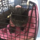 마더스동물병원 이미지