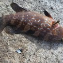 용치마을회관 이미지