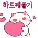 뽀야랑 콩이랑