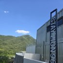 스테이 자이언 이미지