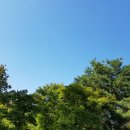 무궁화꽃이피었습니다