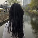 지성광고 | 내돈내산 인스타광고 제품 솔직후기 : 맞춤헤어케어 쓰리와우 샴푸 지성두피