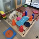 (주)반려동물털로덮인친구들 이미지