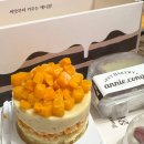 (주)산강아지 | 강아지 생일케이크 '애니콩' 강아지 생일선물 내돈내산 후기