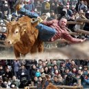 카우보이 이미지