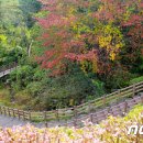 장수군(환경위생과) 이미지